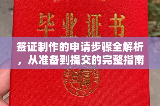 沙鹿签证制作的申请步骤全解析，从准备到提交的完整指南