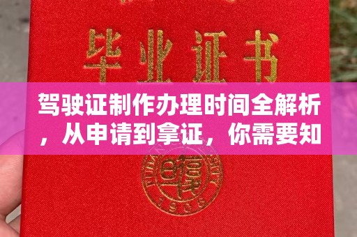 沙鹿驾驶证制作办理时间全解析，从申请到拿证，你需要知道的一切