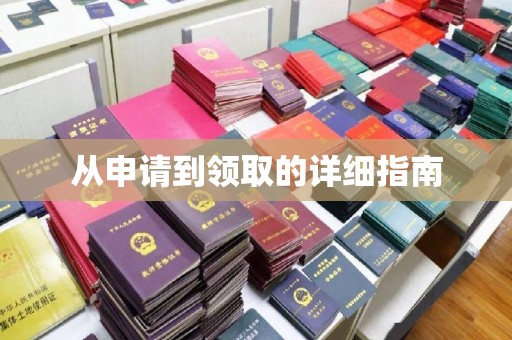 沙鹿从申请到领取的详细指南