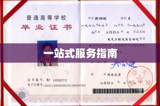 沙鹿一站式服务指南