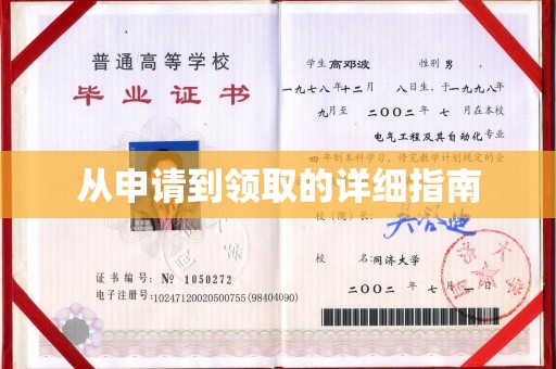 沙鹿从申请到领取的详细指南