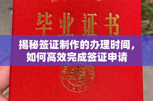 沙鹿揭秘签证制作的办理时间，如何高效完成签证申请