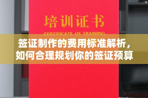 沙鹿签证制作的费用标准解析，如何合理规划你的签证预算