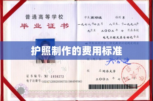 沙鹿护照制作的费用标准
