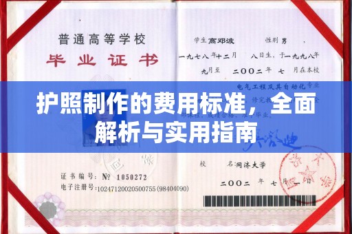 沙鹿护照制作的费用标准，全面解析与实用指南