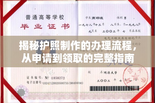 沙鹿揭秘护照制作的办理流程，从申请到领取的完整指南
