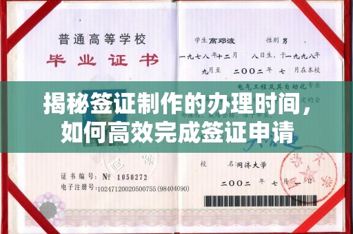 沙鹿揭秘签证制作的办理时间，如何高效完成签证申请