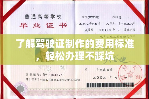 沙鹿了解驾驶证制作的费用标准，轻松办理不踩坑