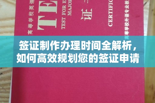 沙鹿签证制作办理时间全解析，如何高效规划您的签证申请流程