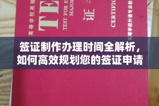 沙鹿签证制作办理时间全解析，如何高效规划您的签证申请流程
