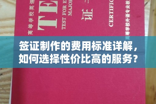 沙鹿签证制作的费用标准详解，如何选择性价比高的服务？