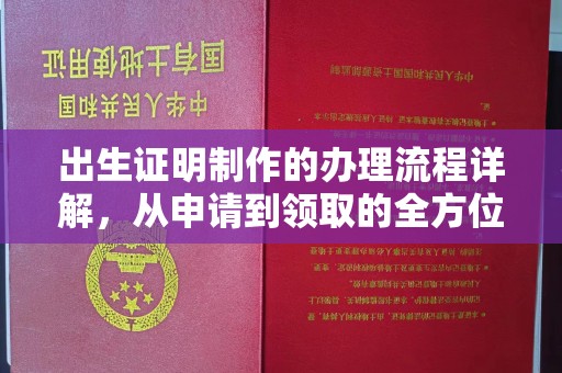 沙鹿出生证明制作的办理流程详解，从申请到领取的全方位指南