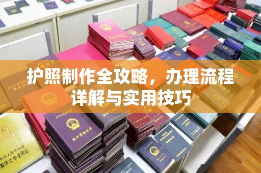 沙鹿护照制作全攻略，办理流程详解与实用技巧