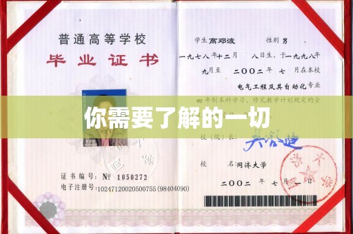 沙鹿你需要了解的一切