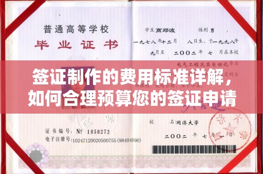 沙鹿签证制作的费用标准详解，如何合理预算您的签证申请成本